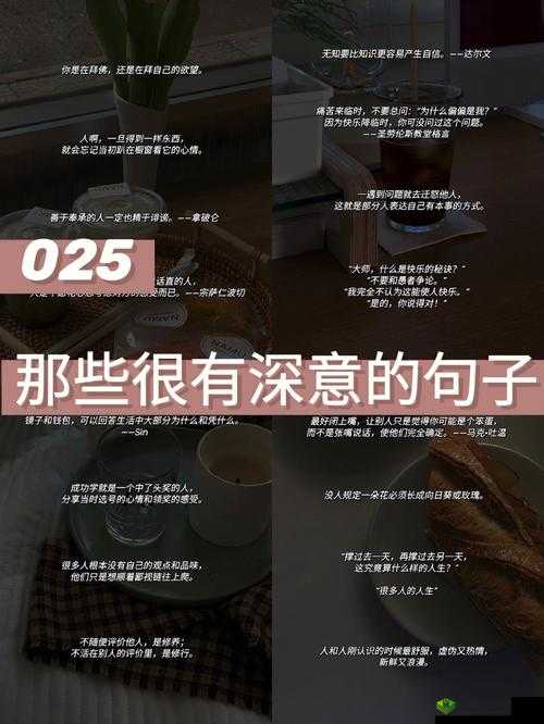 探究双膝之间 1984 背后的深意与启示