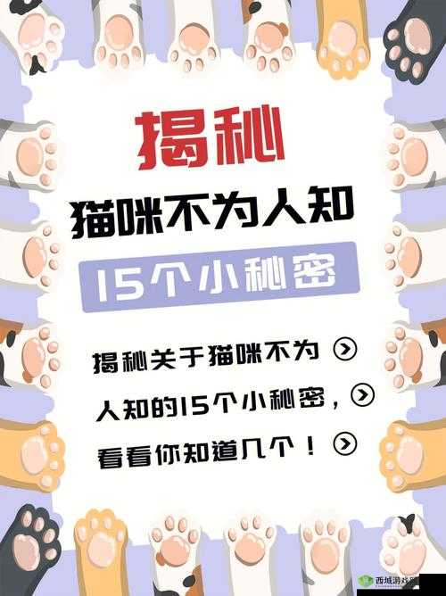 黑料网独家爆料破解版：揭开不为人知的秘密世界