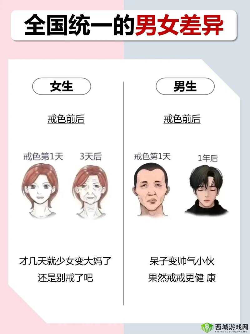 男女生之间的差异：原因、影响与应对之道