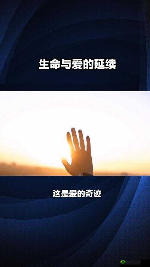 九一爱爱：爱的力量，超越时空的奇迹