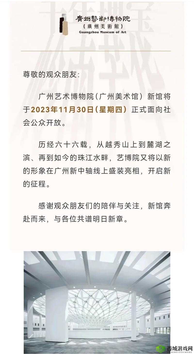 GOGOGO 中国版观众反馈：大家对其看法及评价分析