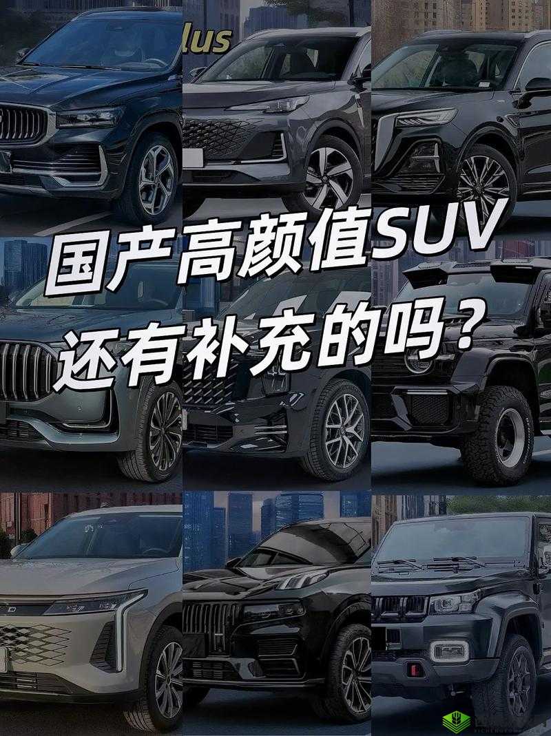 久免费一级SUV好看的国产：领略独具魅力的国产汽车风采