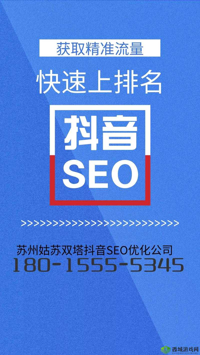 SEO 短视频网页入口：开启精彩视觉盛宴之旅