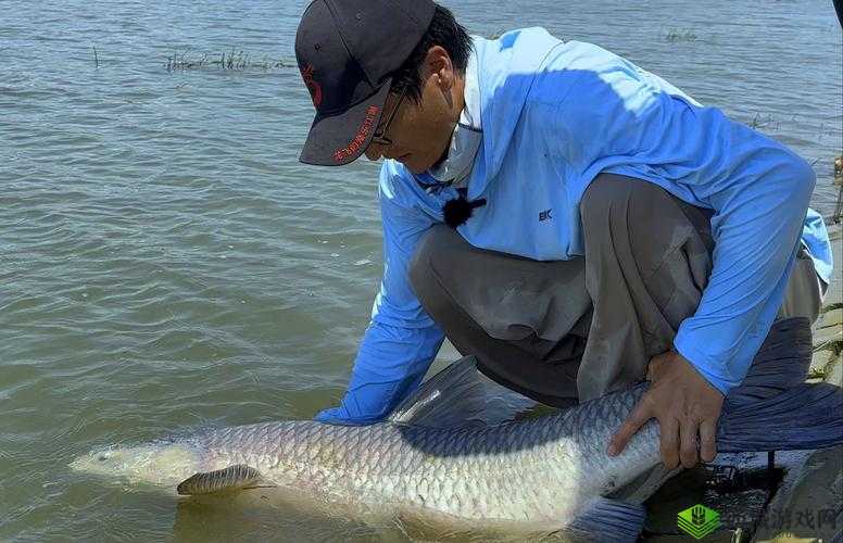 体验小森生活，享受青鱼垂钓的乐趣与探索自然之美