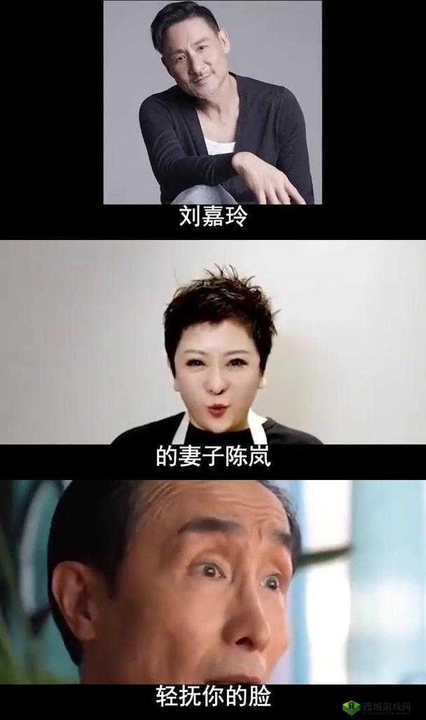 某男星靠助理解决需求：揭秘娱乐圈背后的依赖现象