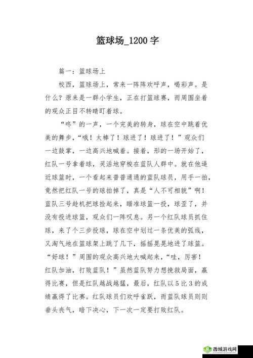 篮球队的公共玩具文章：探索篮球场上的共享乐趣