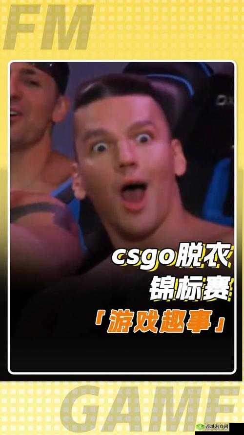 俄罗斯卖 csgo 的网站免费进入：带你探索神秘游戏交易世界