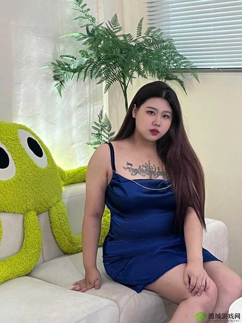 巨型女胖子的生活日常：女 BBwBBwBBWBBWD 的故事