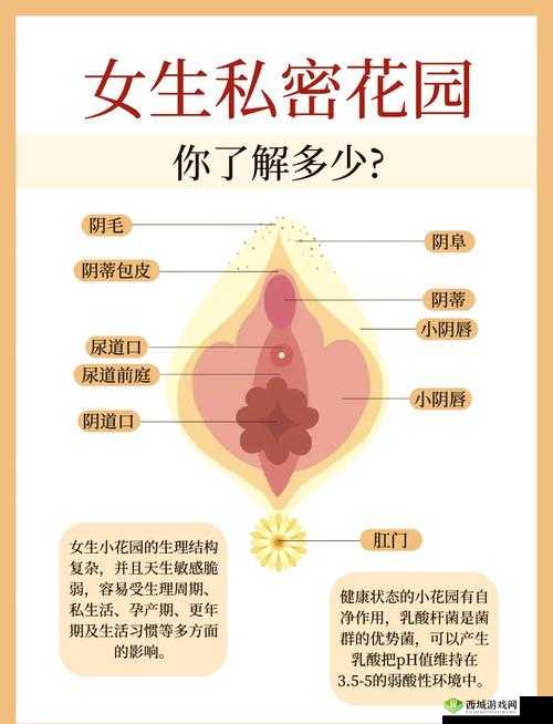 吃小花园的正确方法：你应该知道的常识