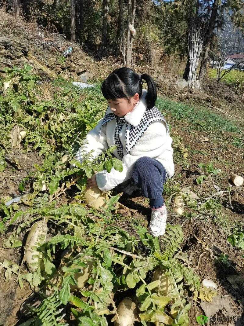 女人下部秘之独特的拔萝卜情境呈现