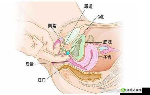 探索女性敏感点的奇妙之旅：我如何让她达到荫蒂高潮