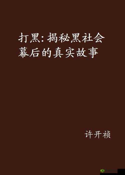 黑料社今日黑料：揭秘那些不为人知的幕后故事