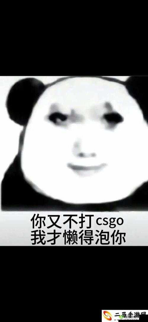 暴躁老姐的CSGO心得分享一百块就能注册：让你轻松入场