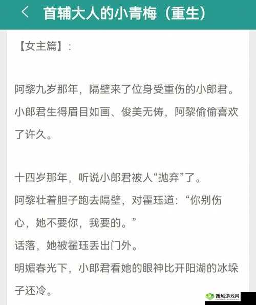 首辅大人 1V2：一场惊心动魄的较量与挑战