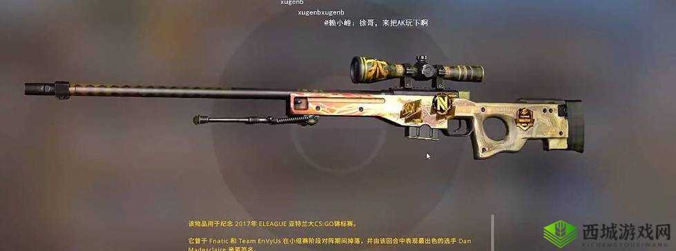 日本 csgo 大姐姐 AWP 多少钱：其价格背后的影响因素分析