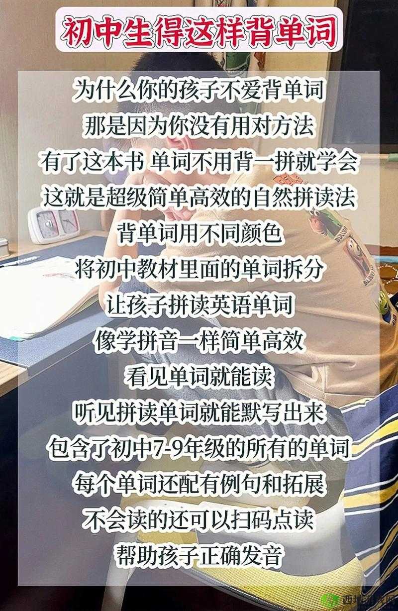 坐在学霸的大紫根上背单词：开启高效学习之旅