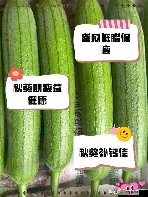 绿巨人秋葵黄瓜榴莲丝瓜：丰富蔬果带来的独特魅力与营养