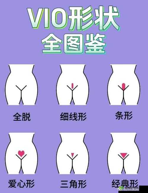 女性私密视频：探索禁忌背后的真相