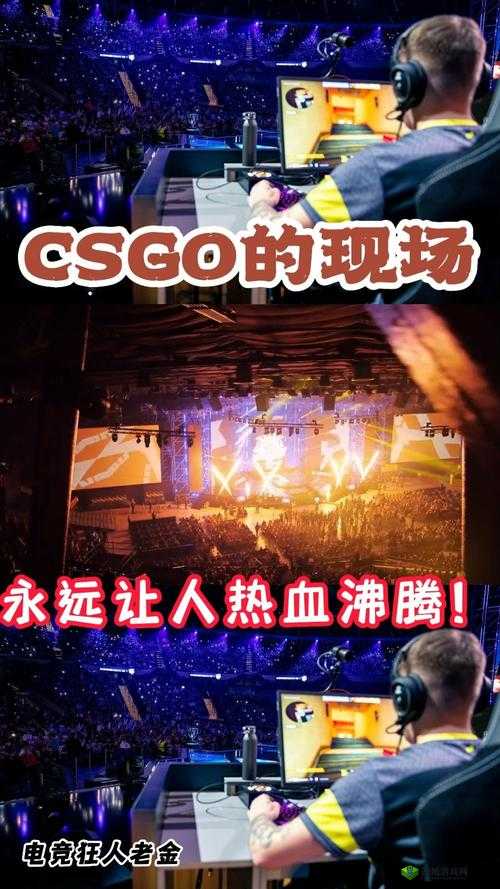 csgo 高清大片视频：令人热血沸腾的精彩对战盛宴呈现