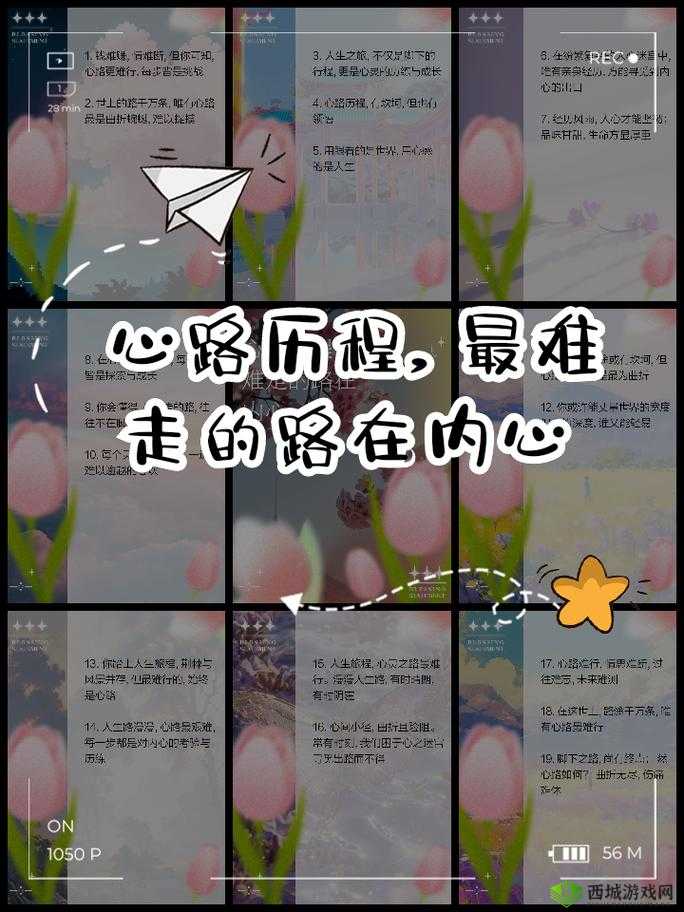 从拒绝到接受：一段改变内心想法的曲折历程