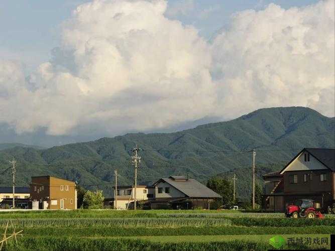 久久高清日韩农村：展现淳朴乡村生活与独特风情