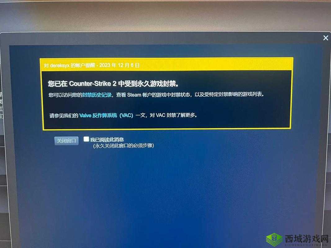 55 岁大妈玩 csgo 被封打不开：游戏封禁背后的无奈与困惑