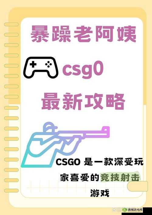 暴躁老阿姨CSGO技巧大全：实战进阶必备指南