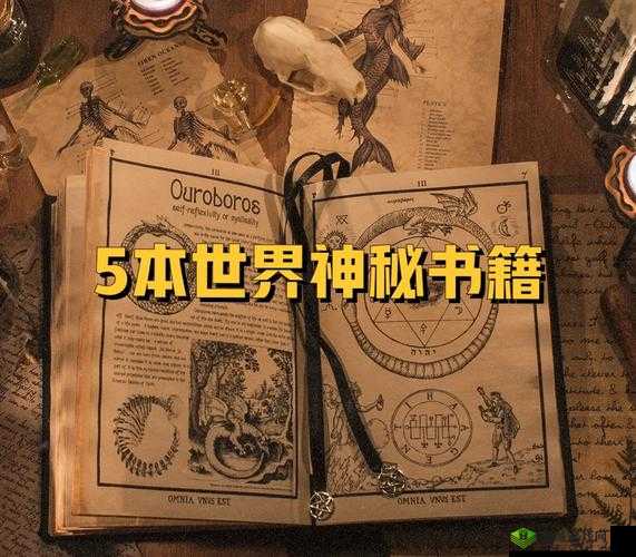 驭房之术全文：探索神秘房产世界背后的隐秘力量