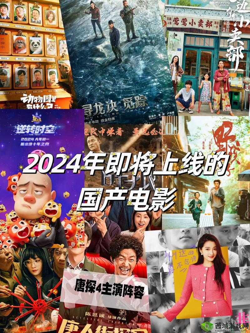 2024 年中国产电影佳作盘点之那些不容错过的精彩影片