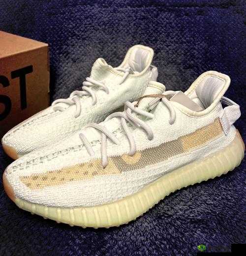 亚洲 Yeezy 官网网站：时尚潮流鞋款的前沿阵地