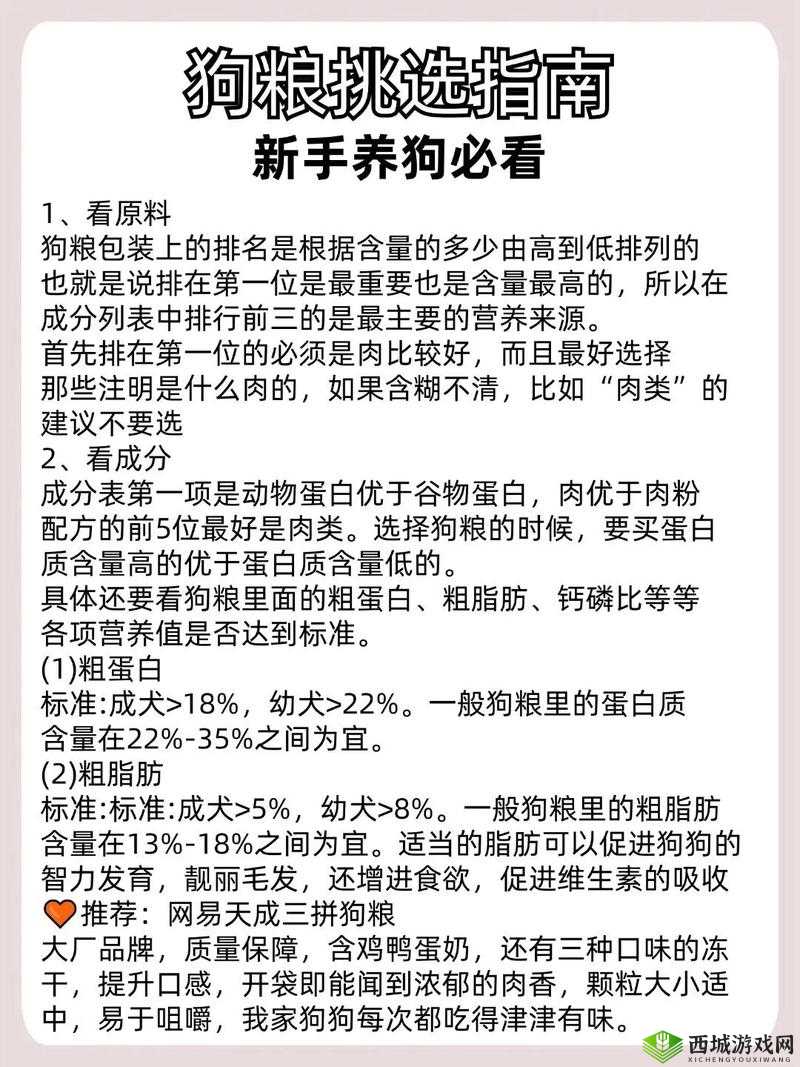 废土危行中获取宠物狗的方法及新手养狗攻略在资源管理中的关键性应用与实践