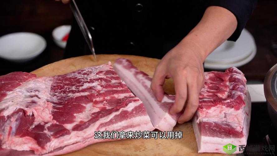 付先生 1VLH 一块五花肉：背后的独特故事与奇妙经历