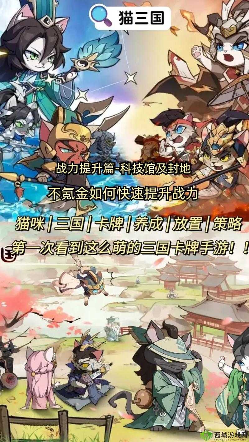 三国大作战全面攻略，揭秘快速升级与战力飙升的高效秘籍