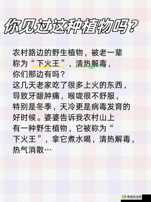 四川老妇山边那令人震惊的性对白相关内容探讨