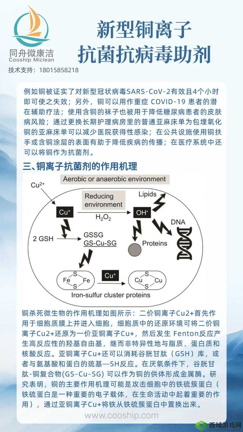 铜铜铜铜铜好深板有病毒吗？专家解读：如何辨别并防范病毒风险