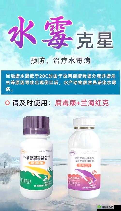 水霉 100 来射吧：专业水霉防治知识与技巧分享