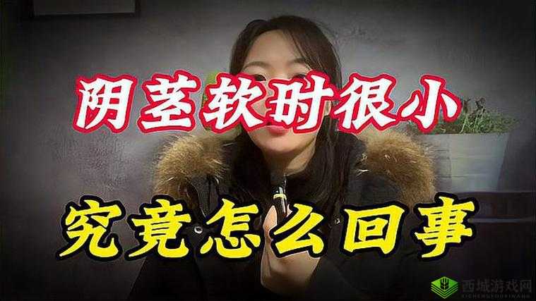 为什么软的时候小到底是为何呢：其背后的缘由探析