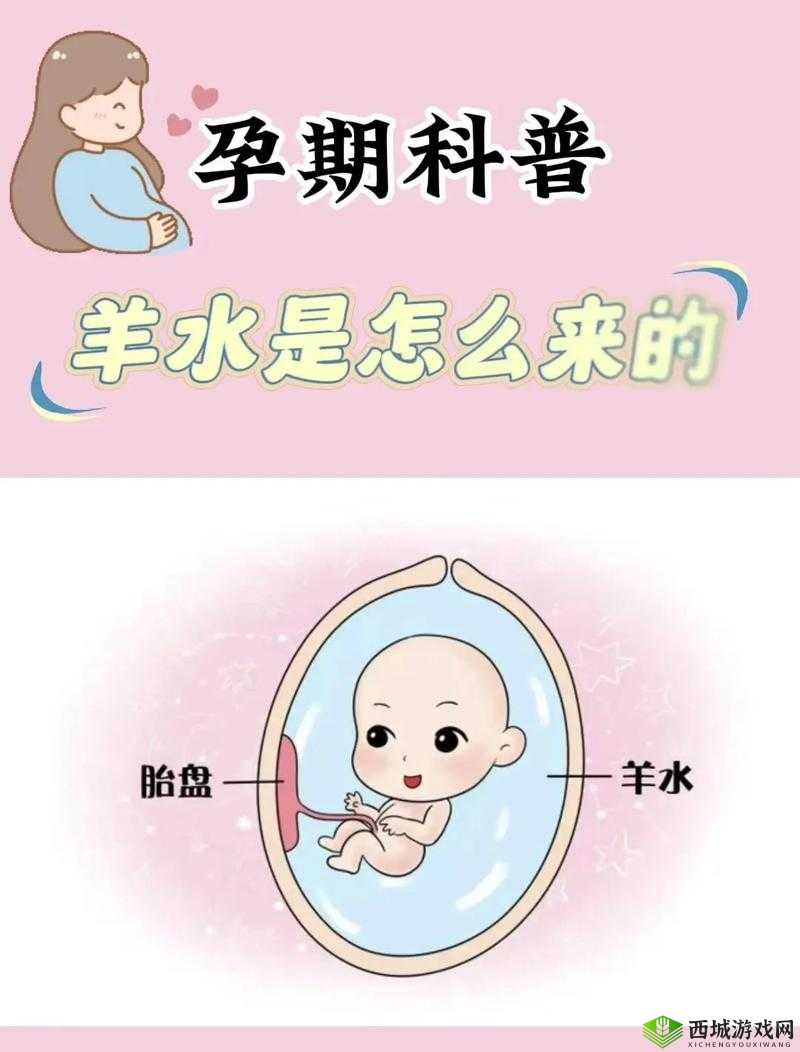 人类进入羊水门的奇妙历程探索