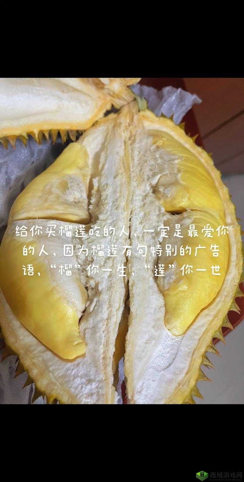 lll.999 榴莲视频：超精彩榴莲视频内容等你来欣赏