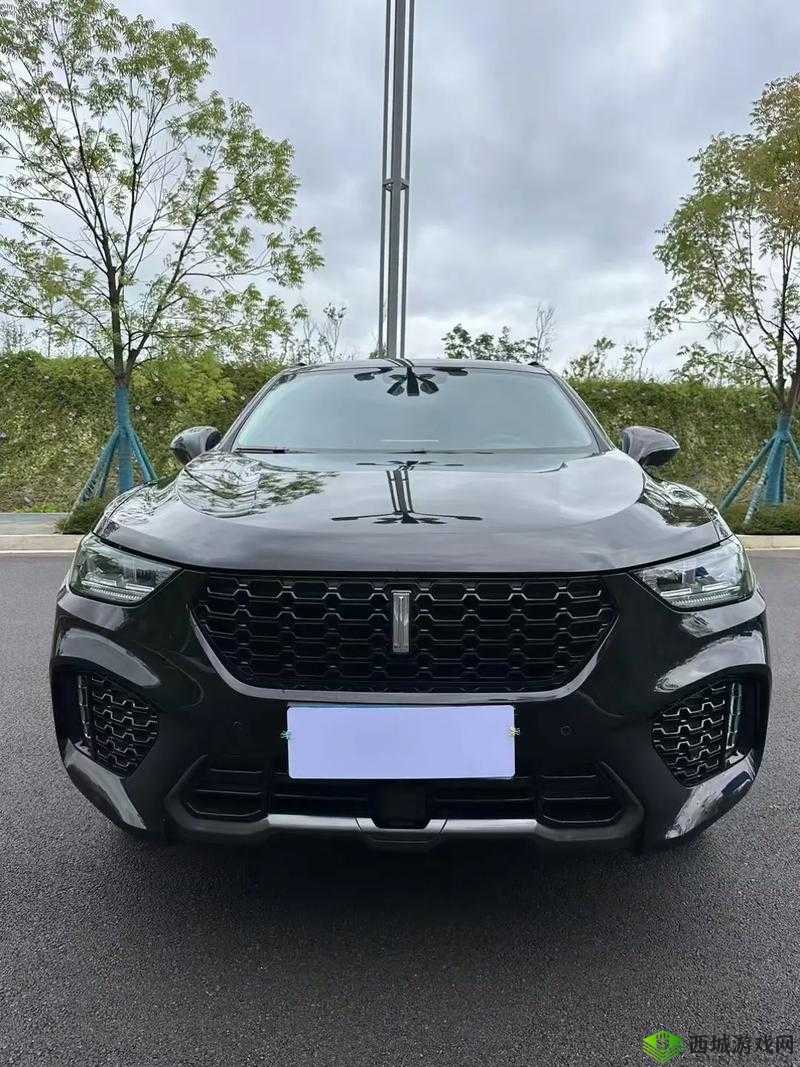 WEY VV5 国产 SUV 性能究竟如何全面剖析