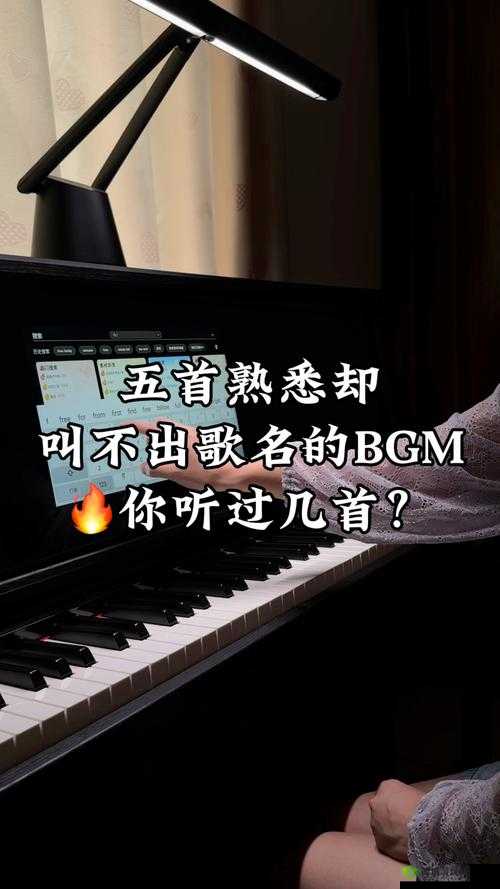 BGMBGMBGM 成熟交：探索音乐与情感的深度交融