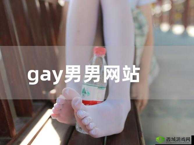 猛男GayGay✅免费网站究竟是什么？为何它如此引人关注？快来一探究竟