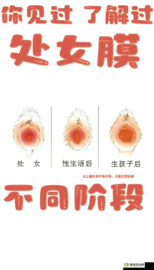 第一次破女初感觉的真实体验分享：心理与生理的双重冲击与成长