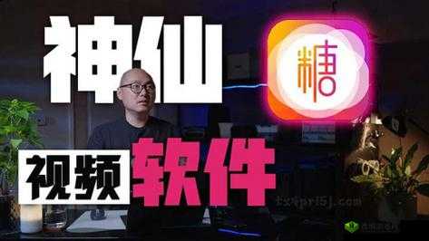 TXVLOG糖心官方网站到底有何独特之处？带你全面了解其精彩内容