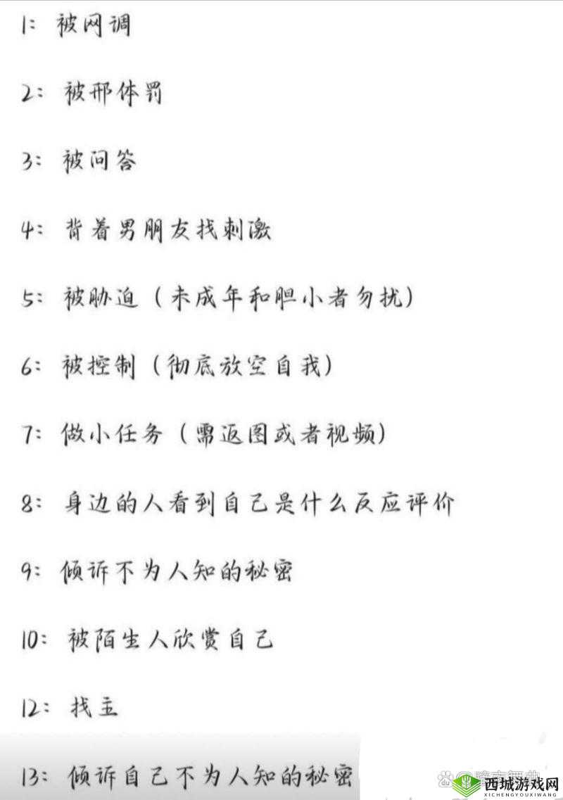 网调任务清单200例：全面解析与实用指南，助你高效完成各类网络调查任务