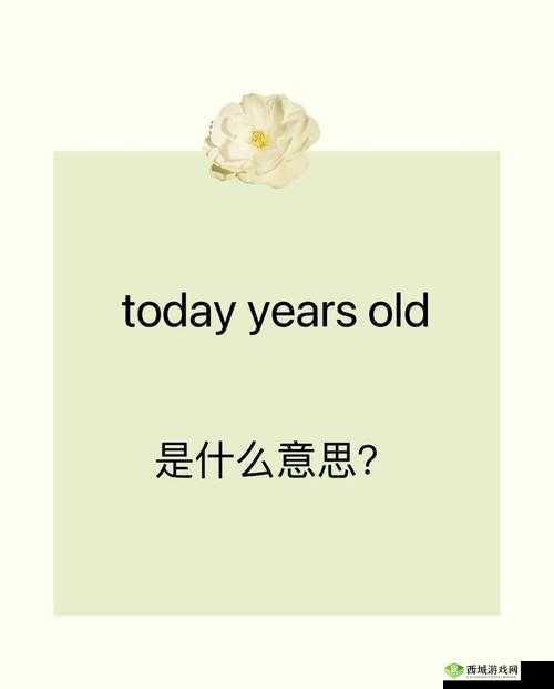 years old 是什么意思？带你了解它的用法和常见搭配