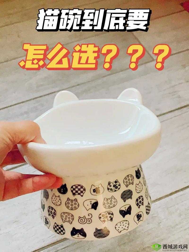 小森生活猫碗如何获取？放置难题破解，玩法革新预测引悬念！